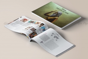 Cẩm Nang - Catalogues 