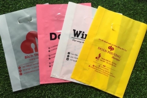 In Túi Ni Lông Chất Lượng Cao 