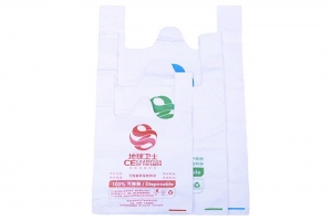 In Túi Xốp 2 Quai 