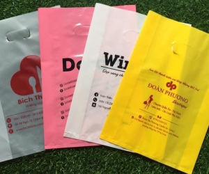 In Túi Ni Lông Chất Lượng Cao 