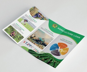 Tờ Gấp Quảng Cáo 